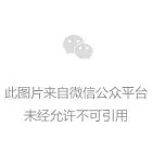 石家庄一中2019年英才班美国研学旅行顺利归来